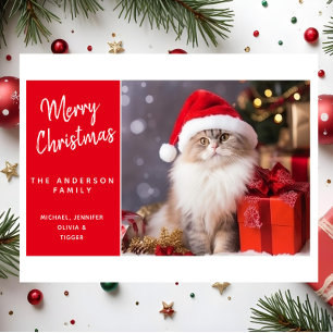 Prettig kerstfeest van de kat in een kerstmuts feestdagen kaart