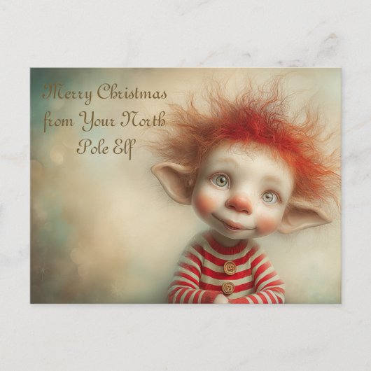 Prettig kerstfeest van je Noorderlicht Elf | Schat Feestdagenkaart (Voorkant)