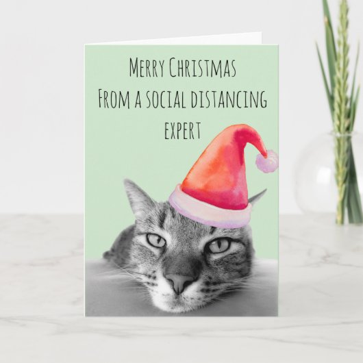 Prettig kerstfeest van kat met expertise in social kaart (Voorkant)