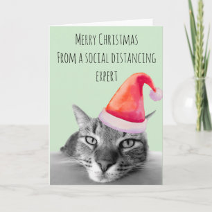 Prettig kerstfeest van kat met expertise in social kaart