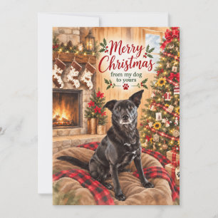 Prettig kerstfeest van mijn hond voor de jouwe feestdagenkaart