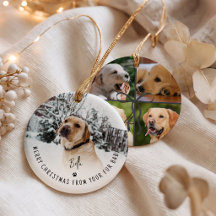 Prettig kerstfeest van uw bontbaby 5 foto hond
