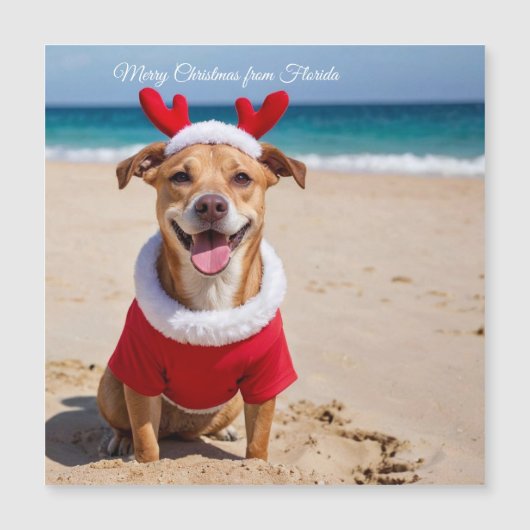 Prettig kerstfeest vanuit Florida Beach (Voorkant)