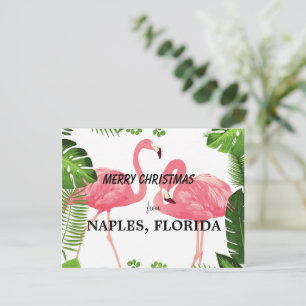 Prettig kerstfeest vanuit Naples, Florida Briefkaart