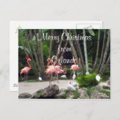 Prettig kerstfeest vanuit Orlando Feestdagenkaart (Voorkant / Achterkant)
