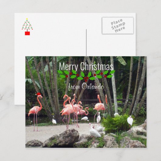 Prettig kerstfeest vanuit Orlando - Roze Flamingo' Feestdagenkaart (Voorkant / Achterkant)