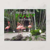 Prettig kerstfeest vanuit Orlando - Roze Flamingo' Feestdagenkaart (Voorkant)