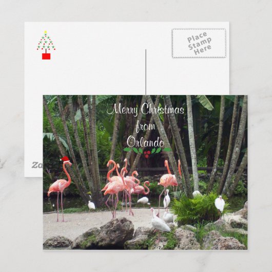 Prettig Kerstfeest vanuit Orlando - Roze Flamingo' Feestdagenkaart (Voorkant / Achterkant)