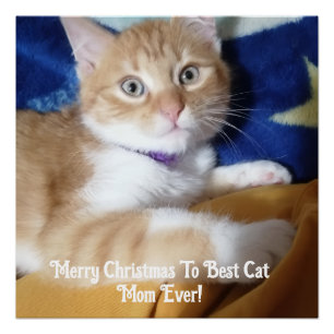 Prettig Kerstfeest voor de beste kattende moeder o Perfect Poster