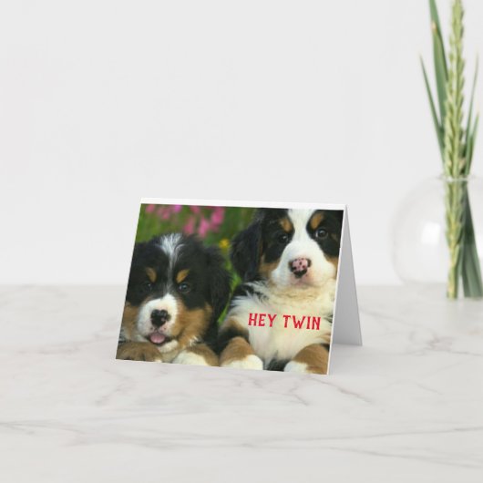 PRETTIG KERSTFEEST VOOR EEN BIJZONDERE "TWEELING" KAART (Voorkant)