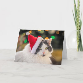 Prettig kerstfeest voor iedereen Cute Kat in Kerst Feestdagen Kaart