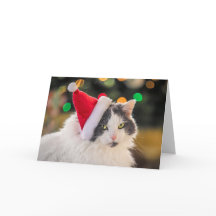 Prettig kerstfeest voor iedereen Cute Kat in Kerst