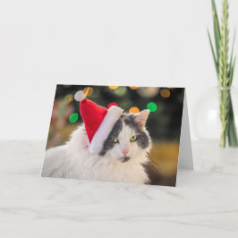 Prettig kerstfeest voor iedereen Cute Kat in Kerst Feestdagen Kaart