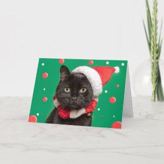 Prettig kerstfeest voor iedereen Fun kat in kerstm Feestdagen Kaart