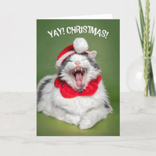 Prettig kerstfeest voor iedereen Gelukkige kat in Feestdagen Kaart