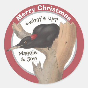 Prettig kerstfeest +wat is er aan de hand? John Go Ronde Sticker