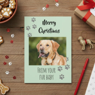 Prettig kerstfoto hond kat huisdier bont baby kaart