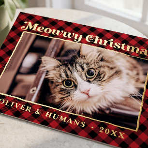 Prettig Kerstmis Buffalo Plaid Kat Foto Grappig Folie Feestdagen Briefkaart