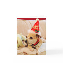 Prettig Kerstmis Chihuahua Schatje 4Sadie