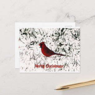 Prettig Kerstmis Kardinaal Plat Kaartje Briefkaart