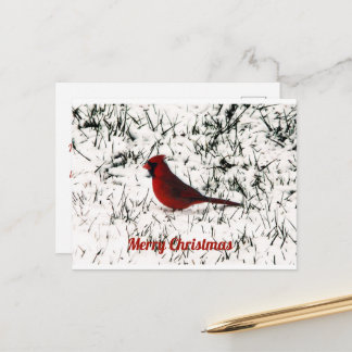 Prettig Kerstmis Kardinaal Plat Kaartje Briefkaart
