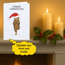 Prettig kerstmis kat yoga