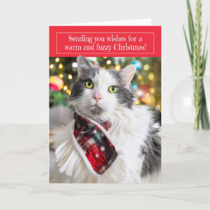 Prettig Kerstmis Moppige Kat in Kerstsjaal Feestdagen Kaart