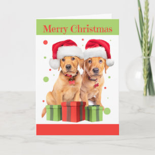 Prettig Kerstmis voor Iedereen Twee Lab Puppies Feestdagen Kaart