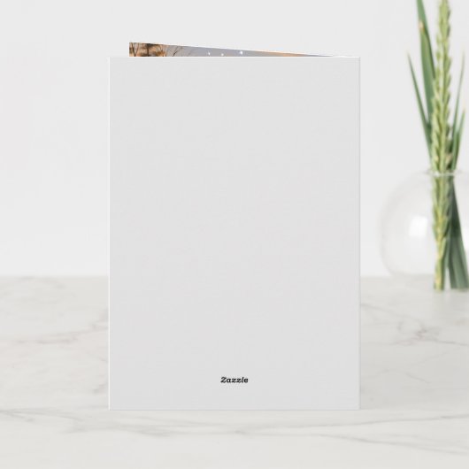 Prettig Kerstmis Winter Dennenboom Bos Rivier Zon Feestdagen Kaart (Achterkant)