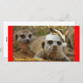 Prettig Kerstmis Zaphod - Fotokaart Feestdagenkaart (Voorkant / Achterkant)