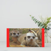 Prettig Kerstmis Zaphod - Fotokaart Feestdagenkaart (Staand voorkant)