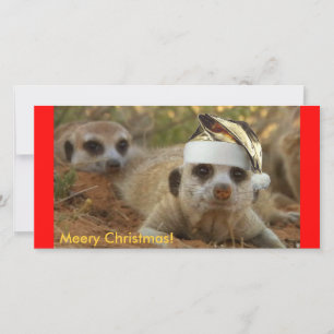 Prettig Kerstmis Zaphod - Fotokaart Feestdagenkaart
