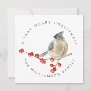 Prettig Kerstvogel op Bessen Takje Feestdagenkaart