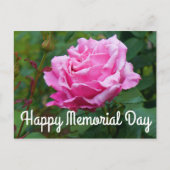 Prettig Memorial Day - Memorial Day Roos #2 Ansich Briefkaart (Voorkant)
