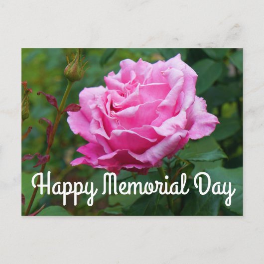 Prettig Memorial Day - Memorial Day Roos #2 Ansich Briefkaart (Voorkant)