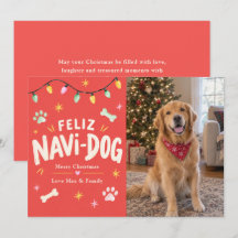 Prettig Navi-Hond Kersthuisdier Foto