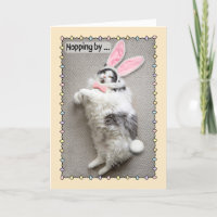 Prettig Pasen Grappige Vette Kat in Konijnenoren