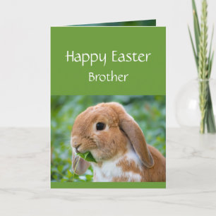 Prettig Pasen Knuffel Konijn Speciale Broer Feestdagen Kaart