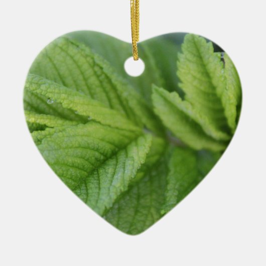Prettig Pasen lente groene bladeren Keramisch Ornament (Voorkant)