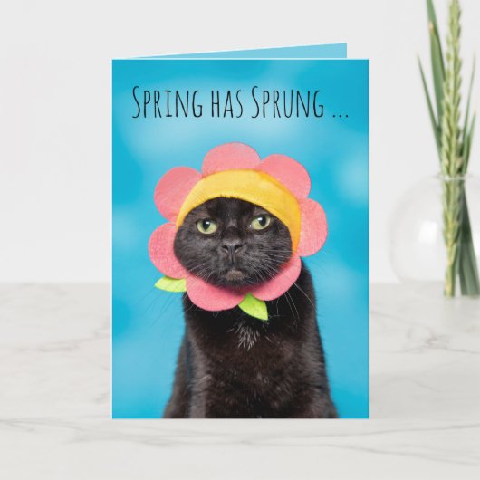 Prettig Pasen Mooie Kat in Bloemen Hoed Humor Feestdagen Kaart (Voorkant)