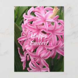 Prettig Pasen Roze Hyacinten Bloem Kaarten Feestdagenkaart