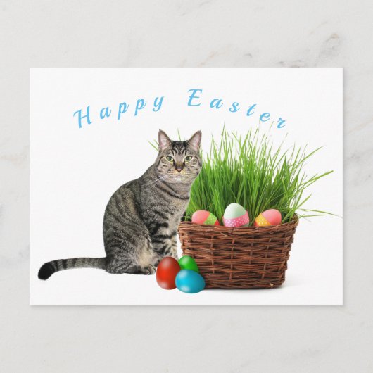 Prettig Pasen van je kat Postkaart (Voorkant)