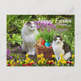 Prettig Pasen van uw kattenfeest Briefkaart