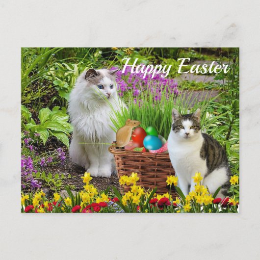 Prettig Pasen van uw kattenfeest Briefkaart (Voorkant)