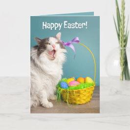 Prettig Pasen Voor Iedereen Kat Die Gezicht Likkt  Feestdagen Kaart
