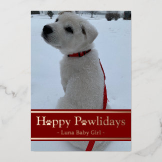 Prettig Pawlidays Folie Feestdagenkaart