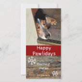 Prettig Pawsfeest | Kerstfoto's van huisdieren Feestdagenkaart (Voorkant)
