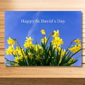 Prettig St David's Day Narcissen Welshe Groet Kaart