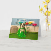 PRETTIG ST. PATRICK'S DAG KAART (Gele Bloem)