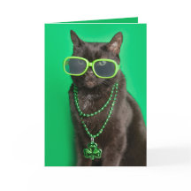 Prettig St. Patrick's Dag Kat in Groen Humor 